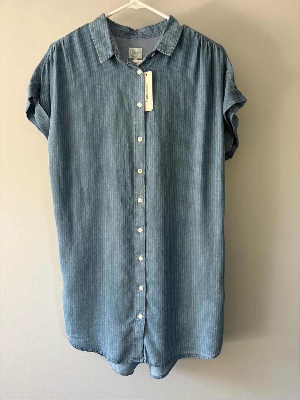 Francesca’s Denim Button-Front Shirt Dress